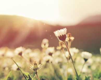 spring-rheumatoid-arthritis-symptoms